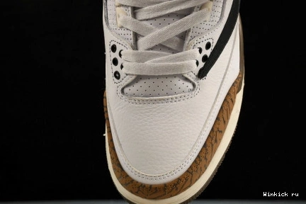 Travis 3 Jordan Air x “Palomino” Scott 0801